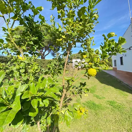 Lua Vila *